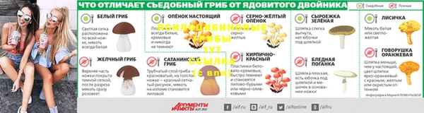 индика Красноперекопск