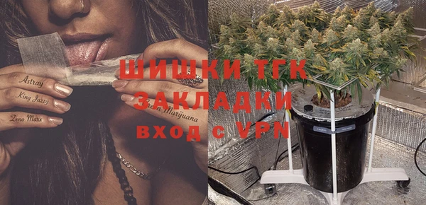 индика Красноперекопск