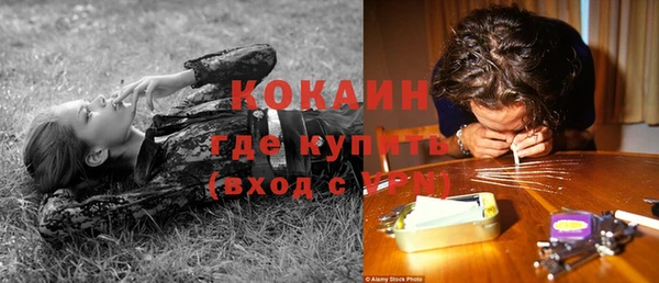 индика Красноперекопск