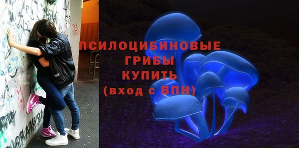 прущая мука Краснослободск
