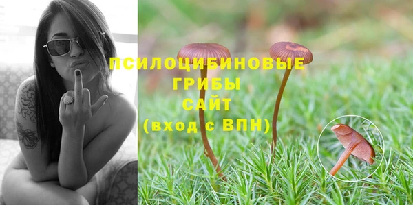 прущая мука Краснослободск