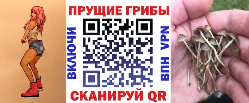 Купить  Елец  Галлюциногенные грибы мухоморы 
